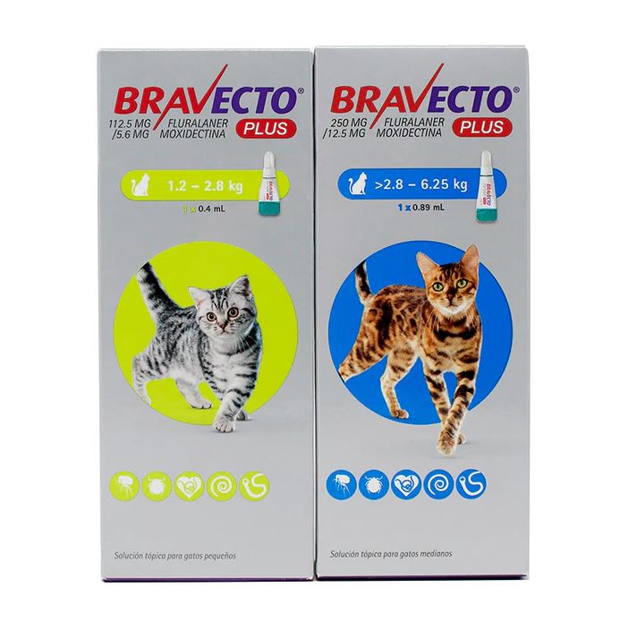 Bravecto Plus para Gatos – Solución Tópica MSD