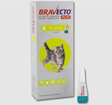 Bravecto Plus para Gatos – Solución Tópica MSD