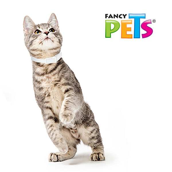 Ms-Collar Fancy Pets para Gatos – Collar Ajustable 39 cm