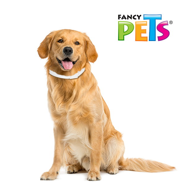Ms-Collar Fancy Pets para Perros – Collar Ajustable 39 a 64 cm