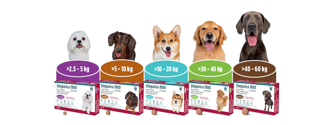 Simparica Trio para Perros – 3 Tabletas Masticables