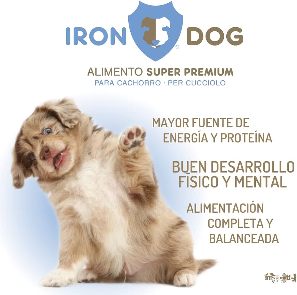 Iron Dog Cachorro