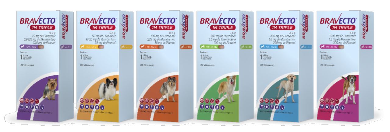 Bravecto 1M TRIPLE para Perros – Tableta Masticable de 1 Mes MSD