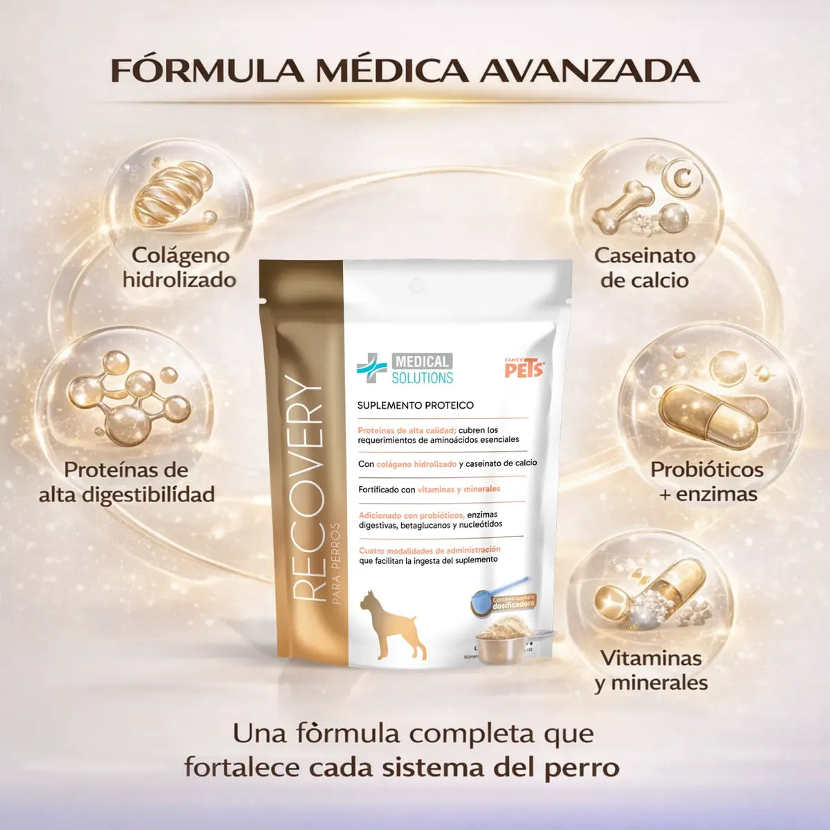 Recovery Proteína Para Perro Con Colágeno Y Probióticos Suplemento