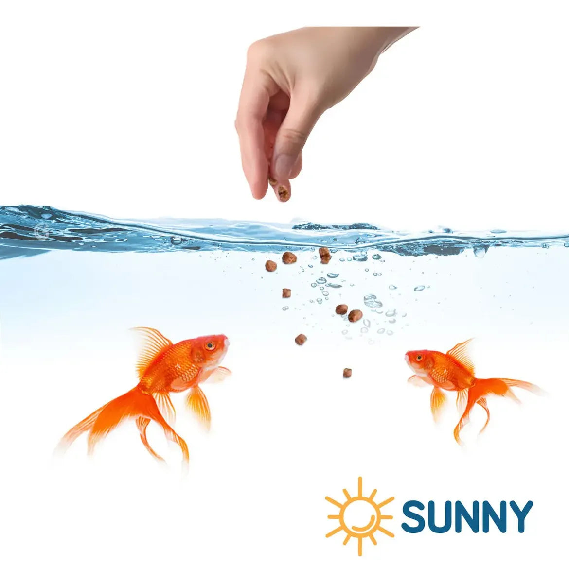 Alimento Premium Para Peces Japoneses Goldfish Sunny 300g