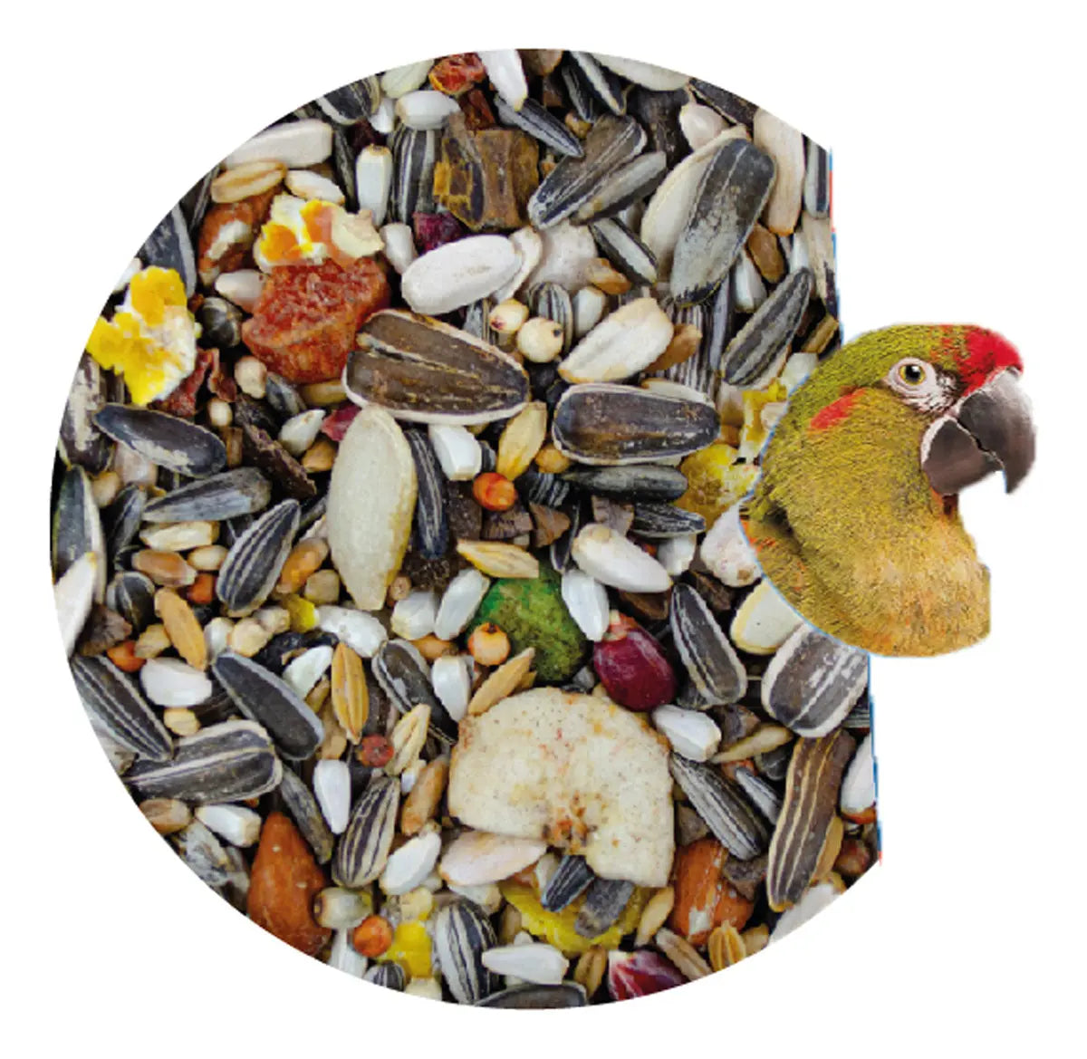 ALIMENTO IMPORTADO MONTE VERDE PARA CACATUAS LOROS Y GUACAMAYAS   500g (by SUNNY-TROPIFIT)