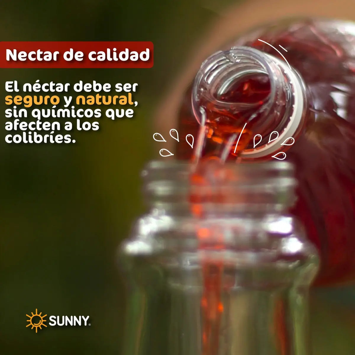 Nectar Liquido Para Colibris 1.5 L Alimento Colibri Natural