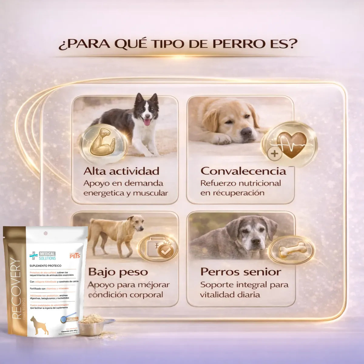 Recovery Proteína Para Perro Con Colágeno Y Probióticos Suplemento