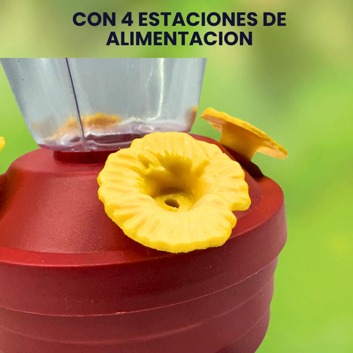 Bebedero Colibri 900 Ml Alimentador Colibries Colgante Color Transparente / Cono