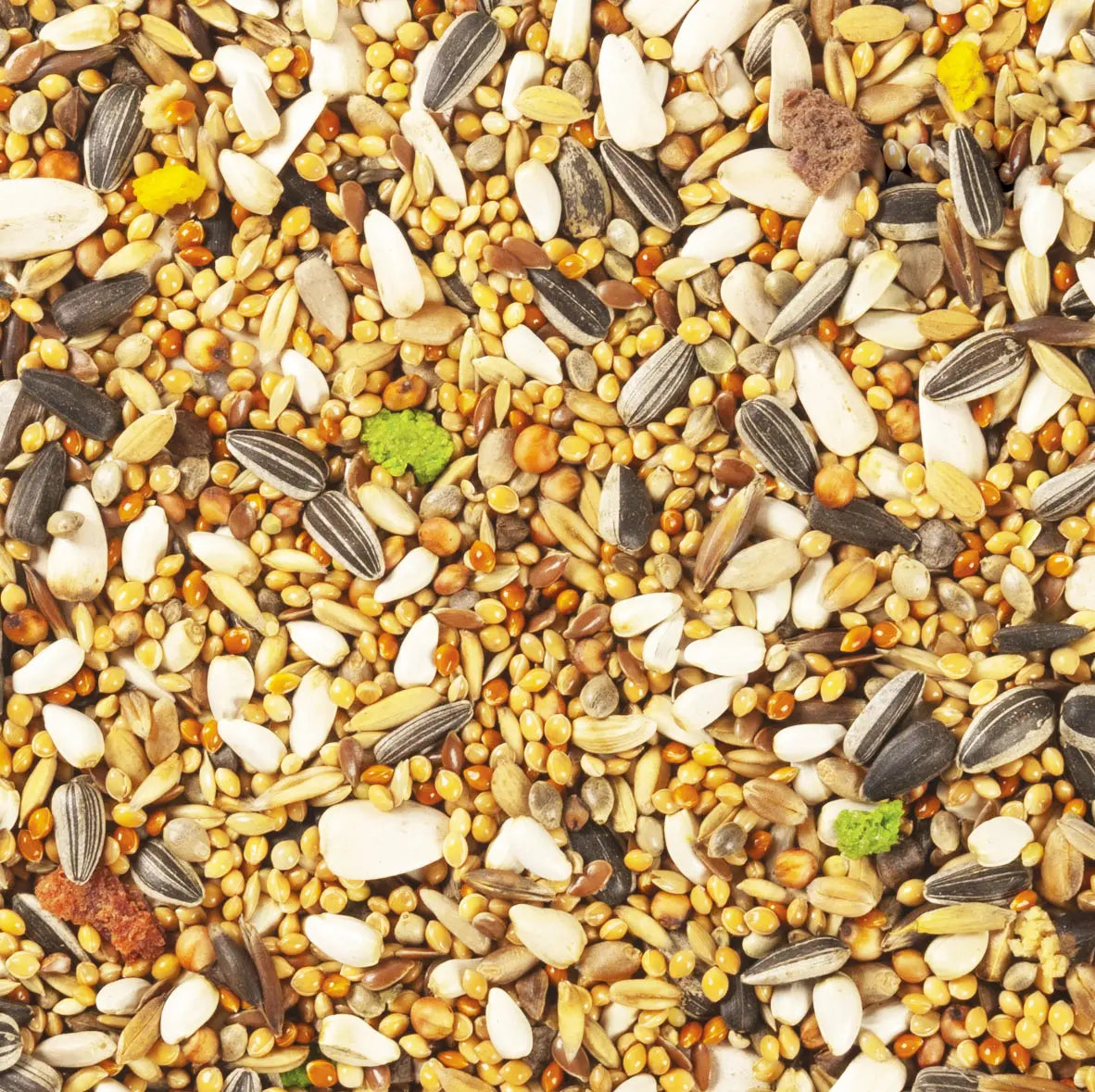Alimento Super Premium Para Ninfas Agapornis Perico | 700g | Frutos Secos Granos Semillas Selectas | Tropifit Cockati