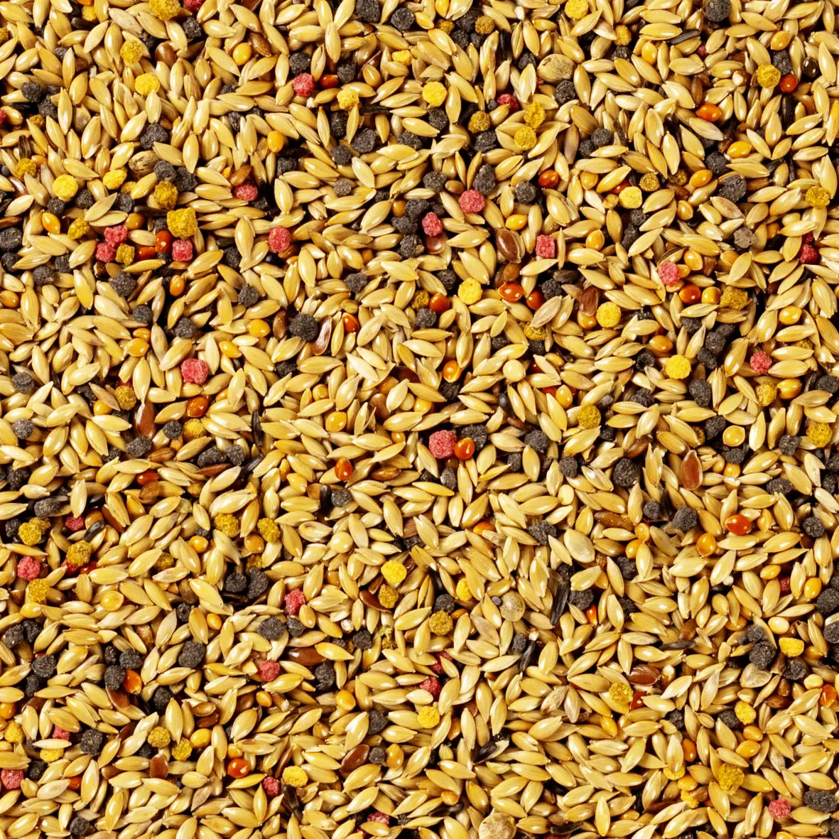 ALIMENTO IMPORTADO TROPIFIT CANARY 700g