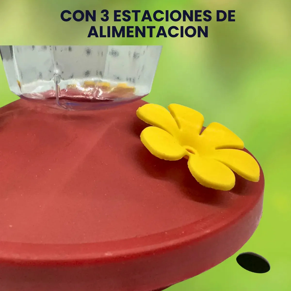 Bebedero Colibri 450 Ml Alimentador Colibries Colgante