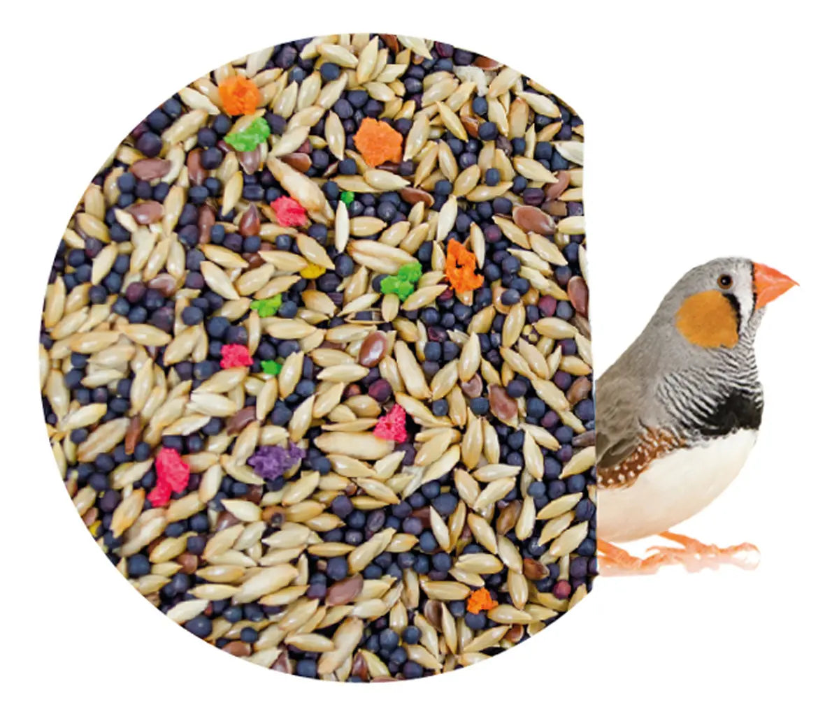 ALIMENTO IMPORTADO MONTE VERDE PARA CANARIOS FINCHES Y EXOTICOS 500g (by SUNNY-TROPIFIT)