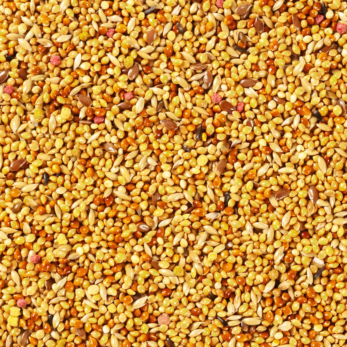 ALIMENTO IMPORTADO TROPIFIT EXOTEN 700g