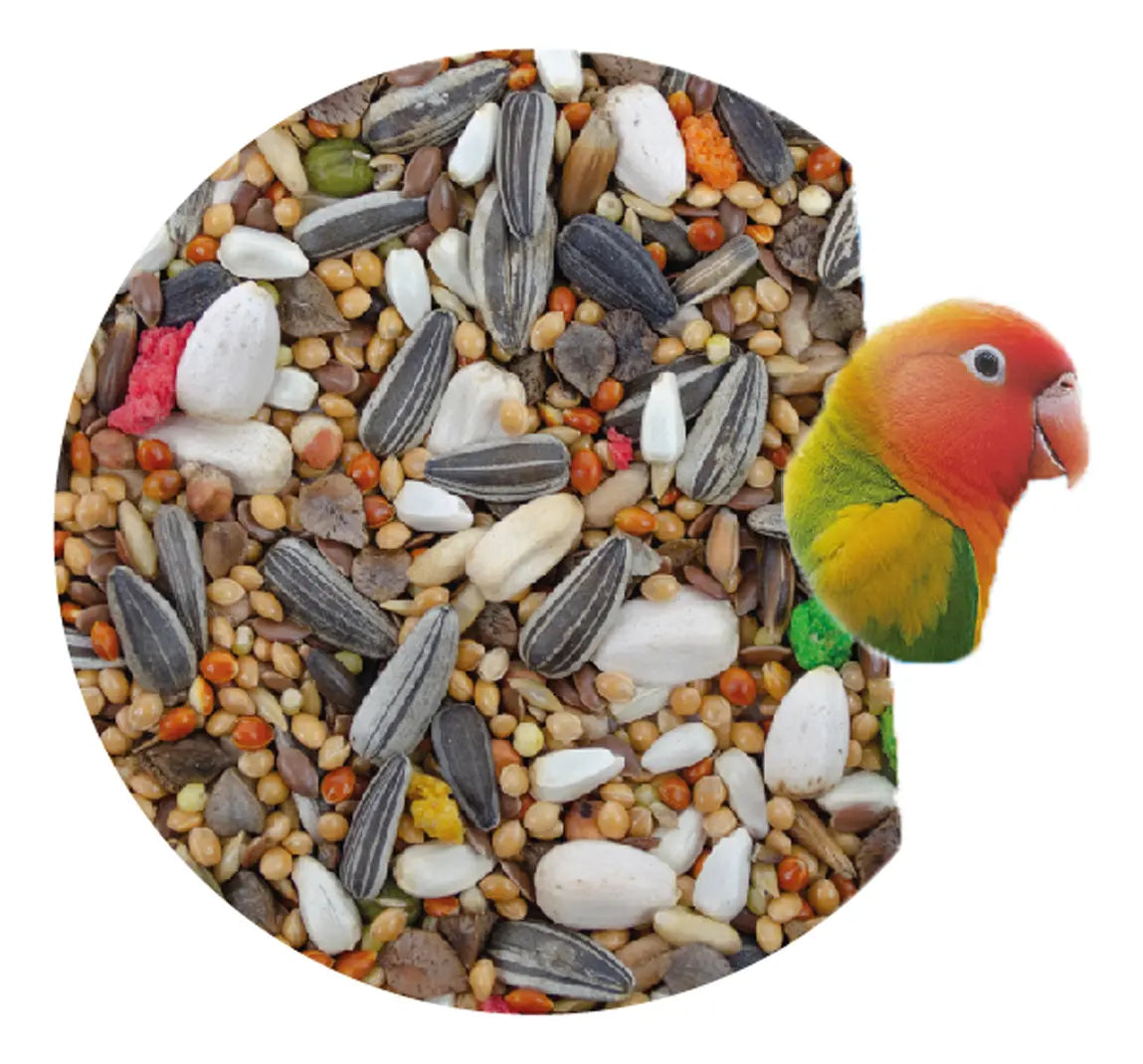 ALIMENTO IMPORTADO MONTE VERDE PARA NINFAS Y AGAPORNIS 500g (by SUNNY-TROPIFIT)