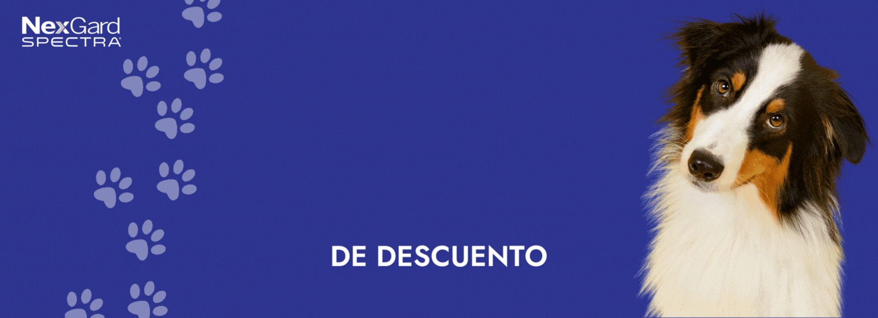 files/Descuentos_Nexgard_-_Corsicana_980_x_355_px_2.gif