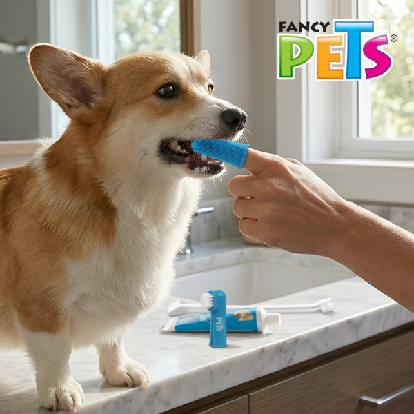 KIT DENTAL+ DEDALES P/ PERRO