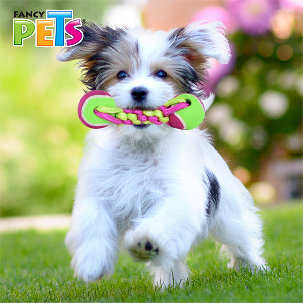 Juguete Pesa De Hilo Con 2 Pelotas Para Perro Ch Fancy Pets