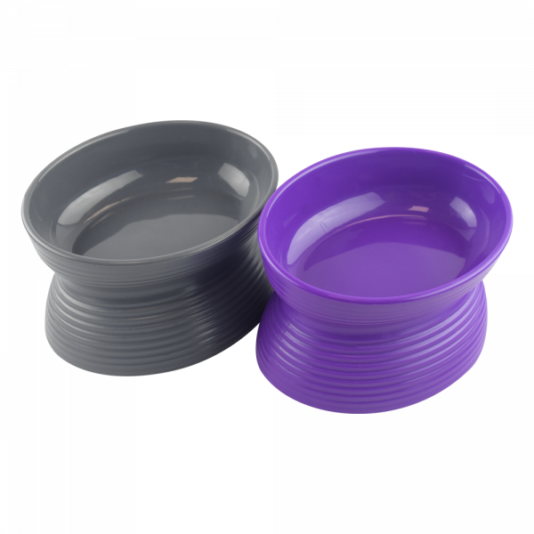 SET DE 2 PLATOS PARA GATO