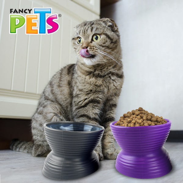SET DE 2 PLATOS PARA GATO