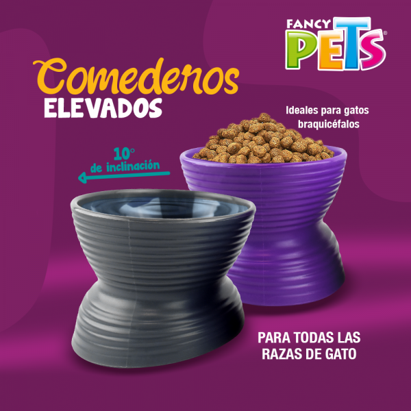 SET DE 2 PLATOS PARA GATO