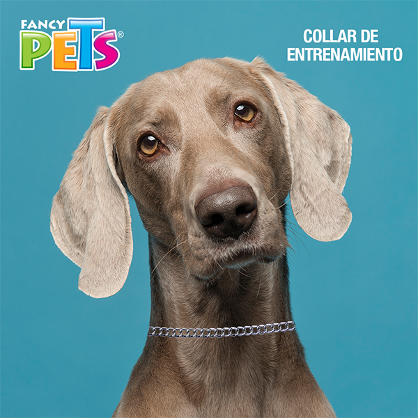 COLLAR DE ENTRENAMIENTO (4.0 MM)