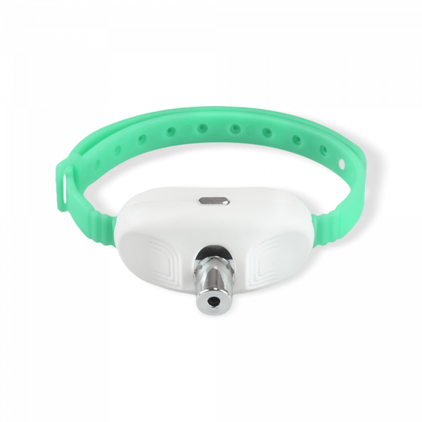 JUGUETE COLLAR PUNTERO LASER P/GATO