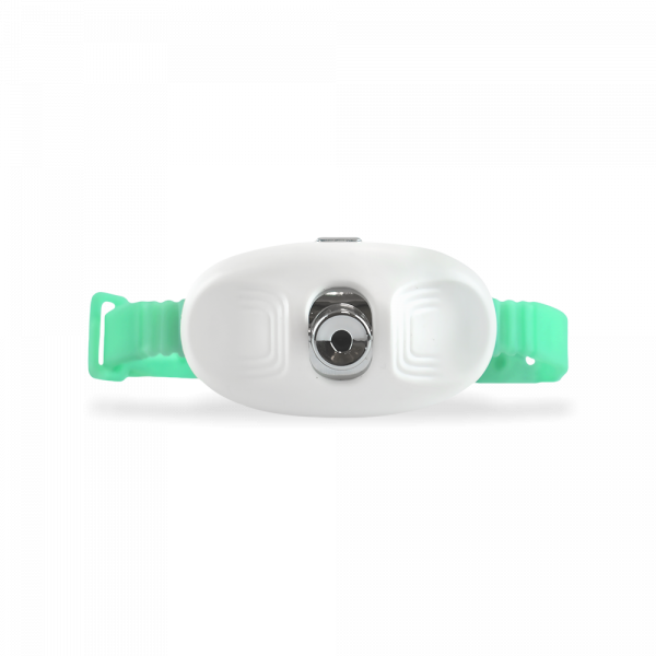 JUGUETE COLLAR PUNTERO LASER P/GATO