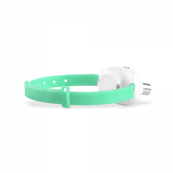 JUGUETE COLLAR PUNTERO LASER P/GATO