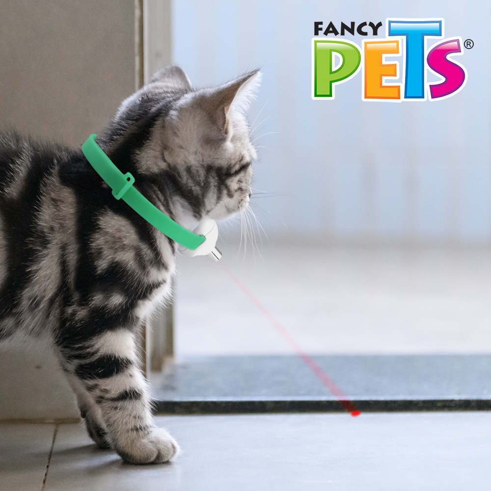 JUGUETE COLLAR PUNTERO LASER P/GATO