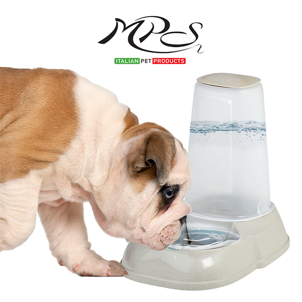 DISPENSADOR DE AGUA 0.4 GAL (1.5 L)