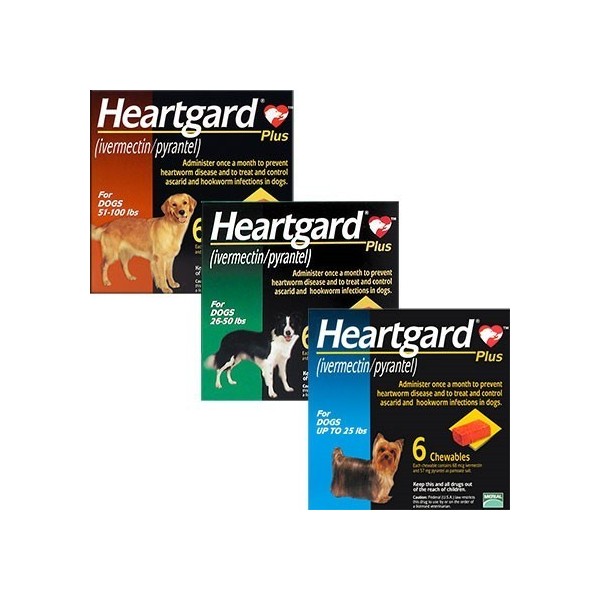 HeartGard PLUS Para Perro 6 Masticables Boehringer