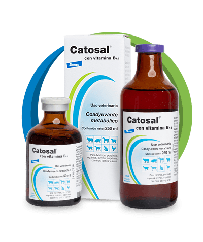 Catosal B12 Elanco