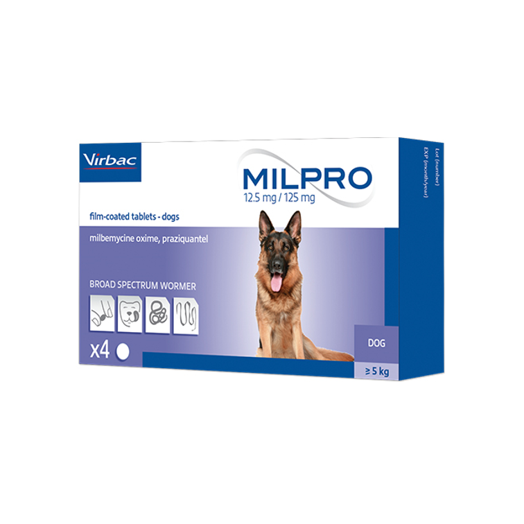 Puedes Darle Una Sobredosis A Tu Perro Con Wormer
